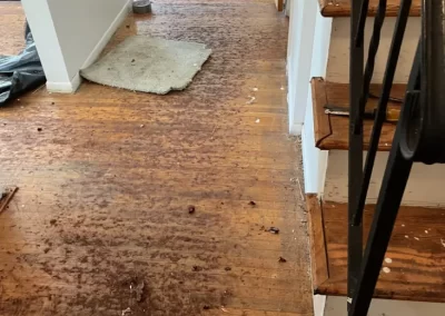 Best Flooring Contractor