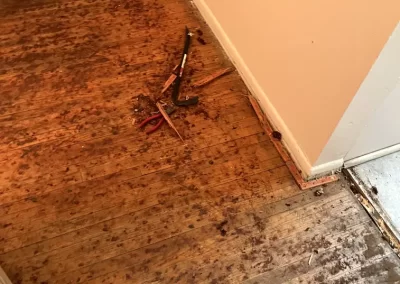 Flooring Contractor